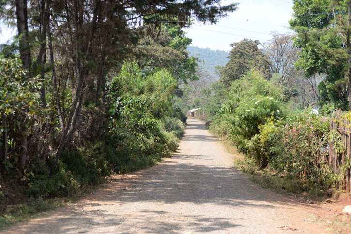 ゼルコバコーヒー｜コーヒーの飲める豆屋